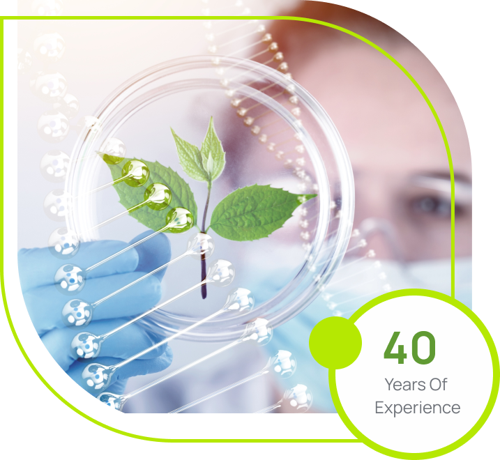 Innovating for overall wellbeing
