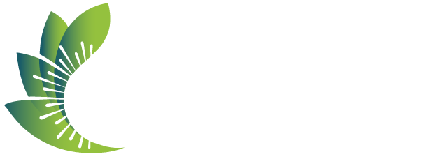 Xtractiva
