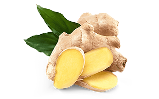 Ginger