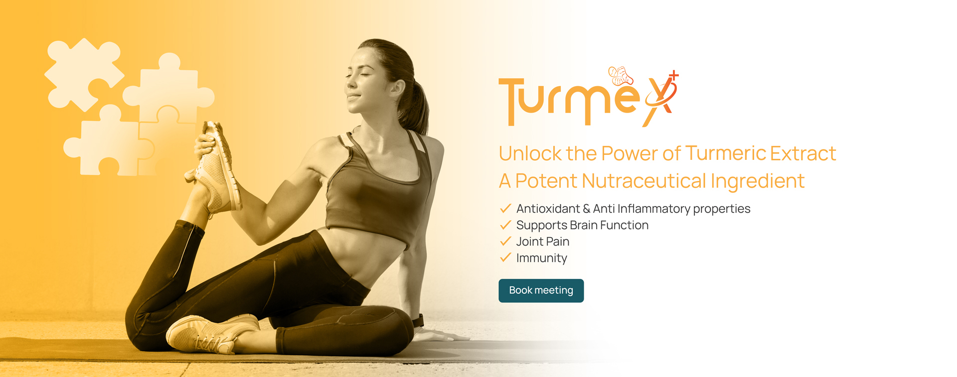 turmeric extract